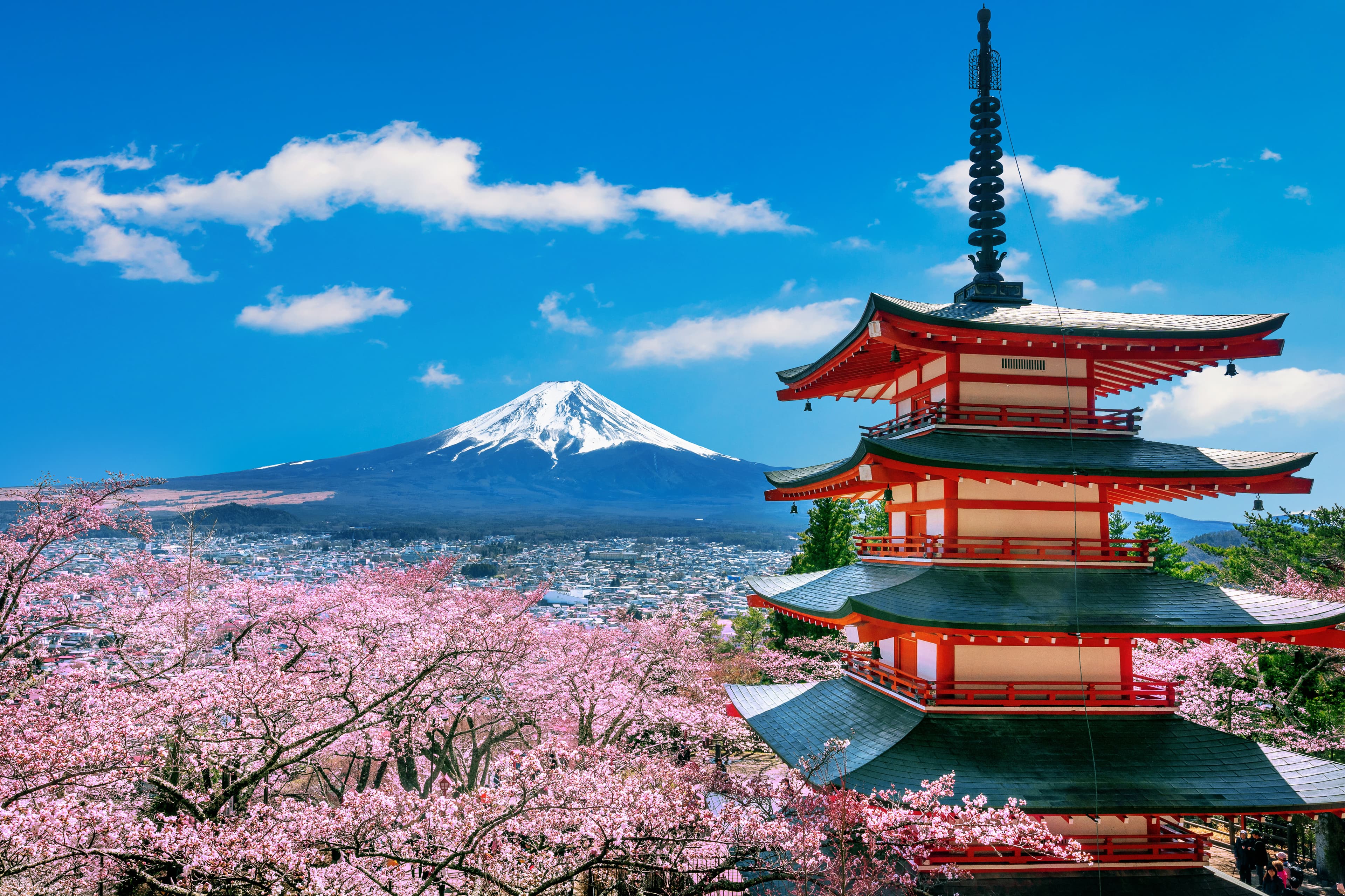 Japan desk